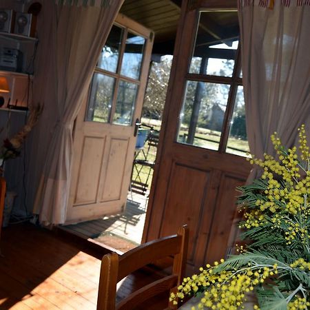 Gite Foret Landaise Sainte-Eulalie-en-Born Bagian luar foto