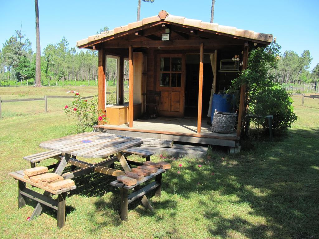 Gite Foret Landaise Sainte-Eulalie-en-Born Bagian luar foto