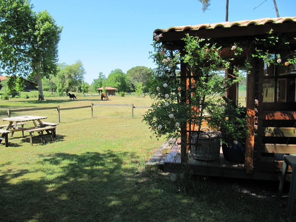 Gite Foret Landaise Sainte-Eulalie-en-Born Bagian luar foto