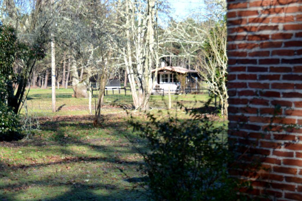 Gite Foret Landaise Sainte-Eulalie-en-Born Bagian luar foto